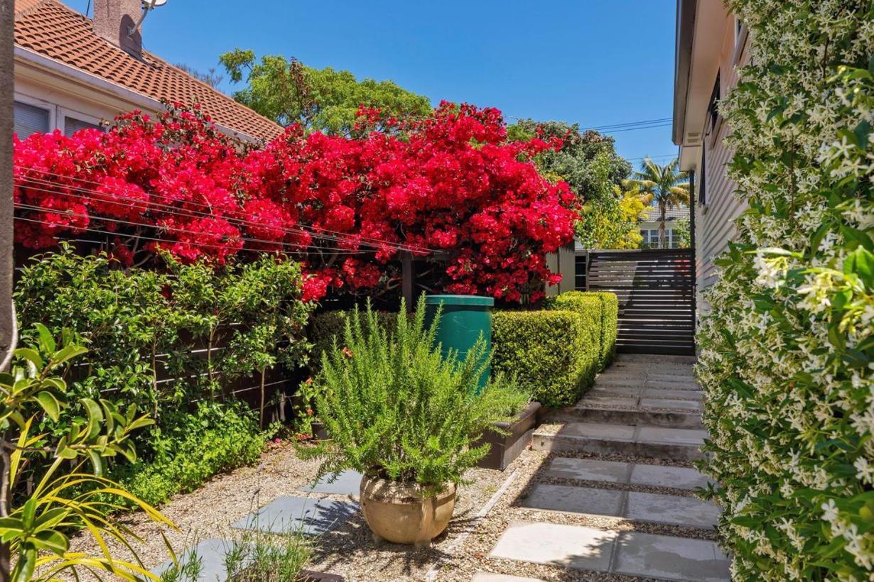 Hot Deal! Sky Stars Garden View Waking To The Beach Close To City Centre Auckland Eksteriør billede